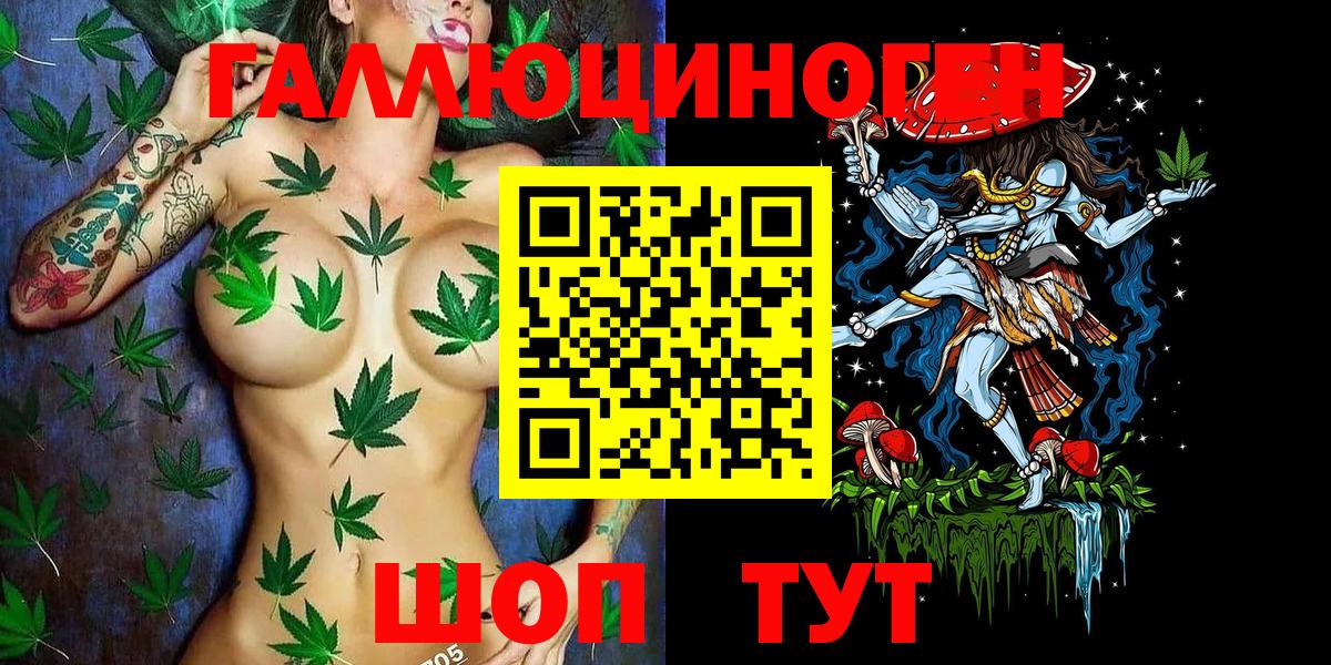 Галлюциногенные грибы Psilocybe Якутск