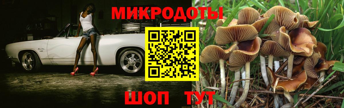 Галлюциногенные грибы Cubensis  Вход с VPN  закладка  Галлюциногенные грибы ЛСД  Якутск 